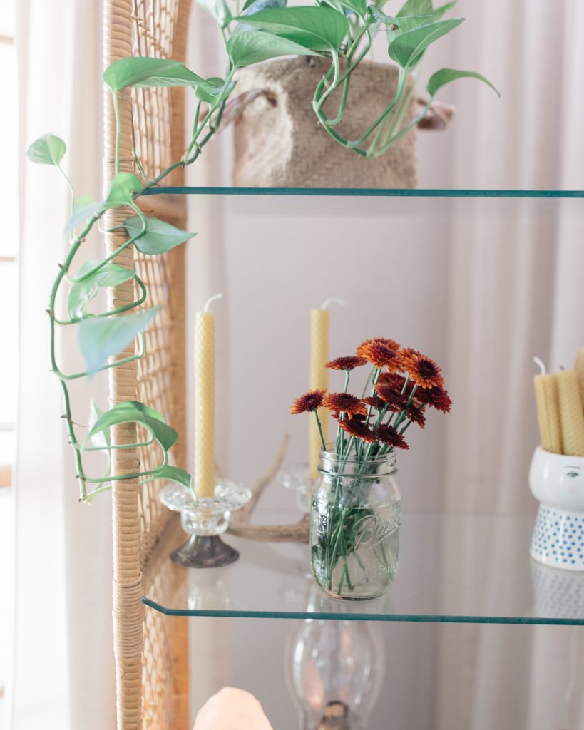 Glass and wicker shelf with mums and plant