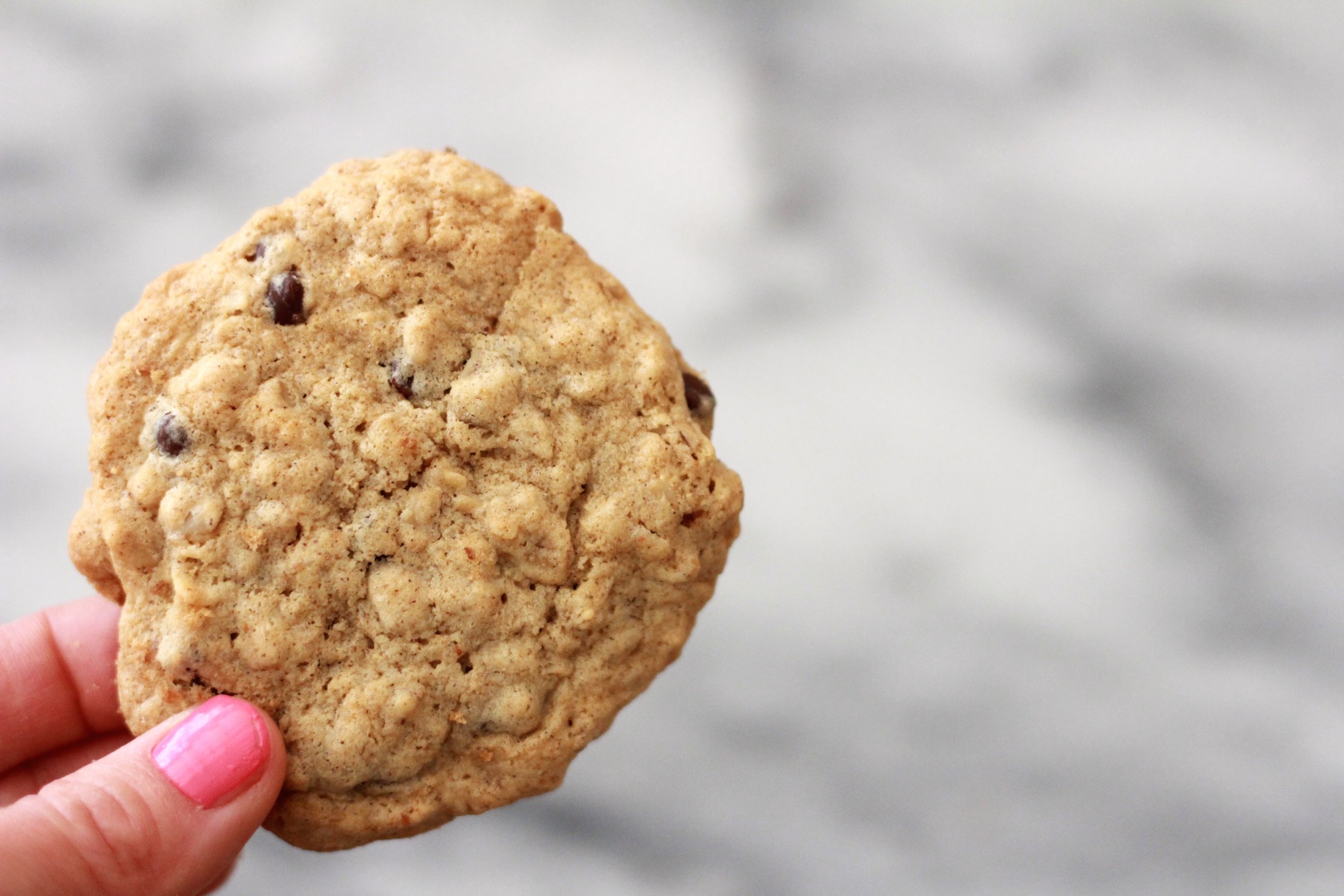 Oatmeal Raisin Chocolate Chip Cookies