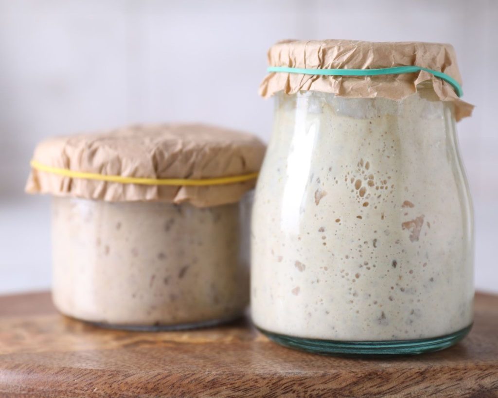 two sourdough starters in jars