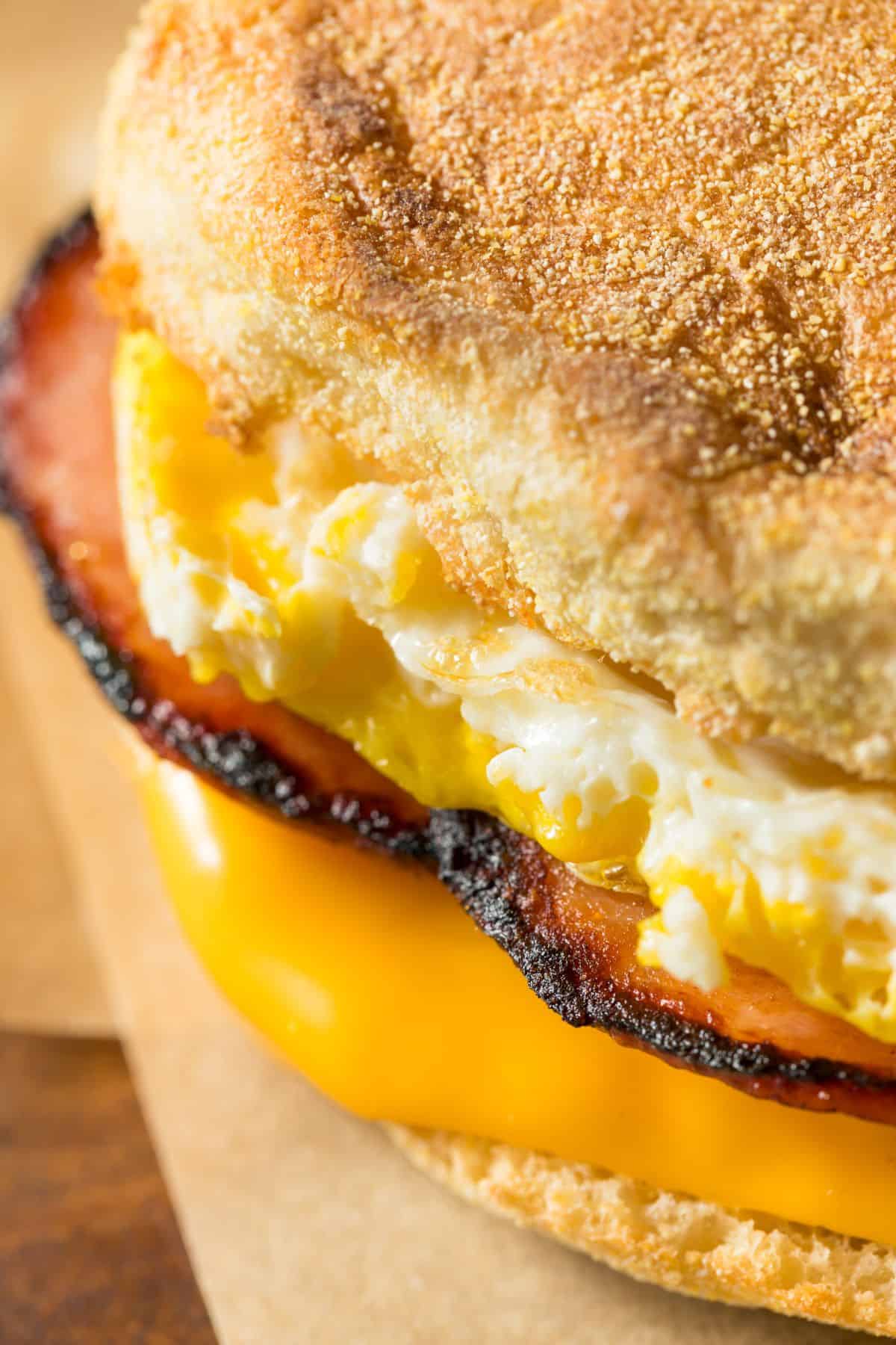 Extreme close up of an english muffin breakfast sandwich with eggs and cheese