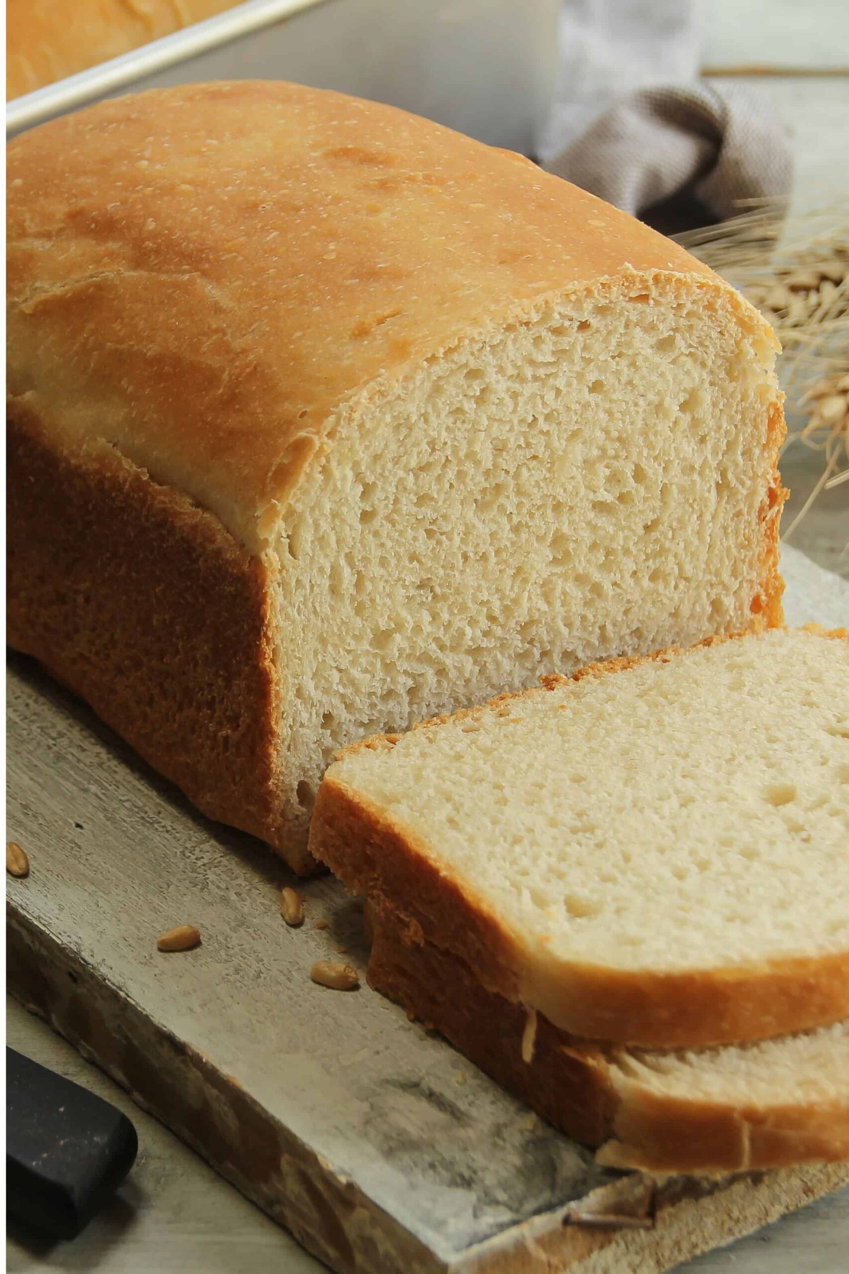 Close up of a freshly baked loaf of bread.